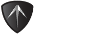 logo iconic footer